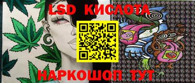 скорость mdpv Краснознаменск