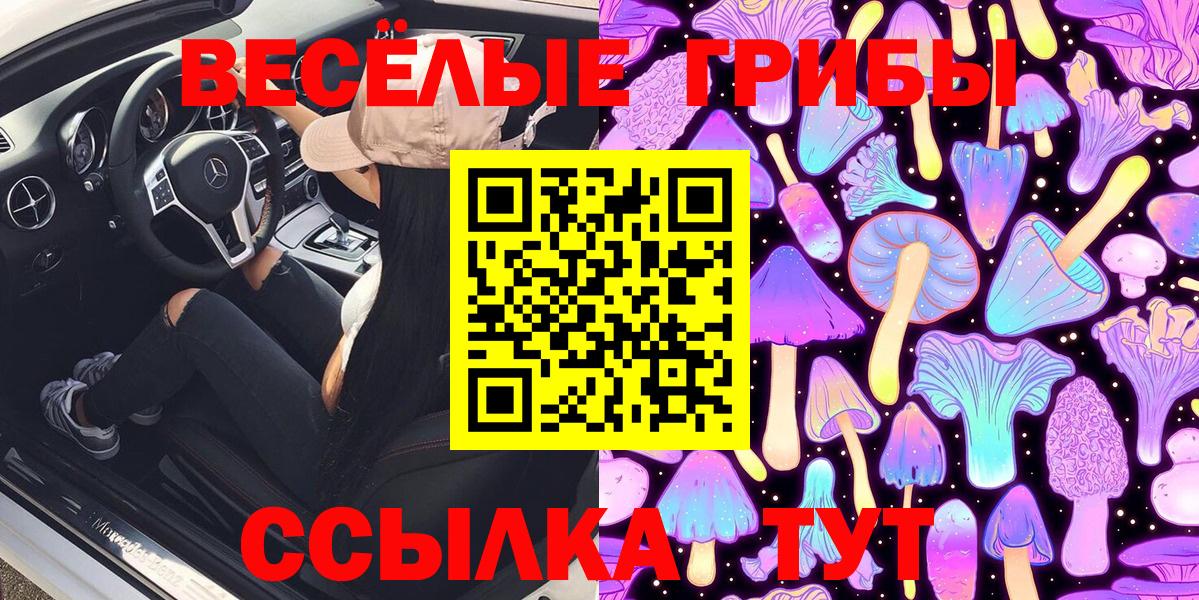 Псилоцибиновые грибы Cubensis Коммунар